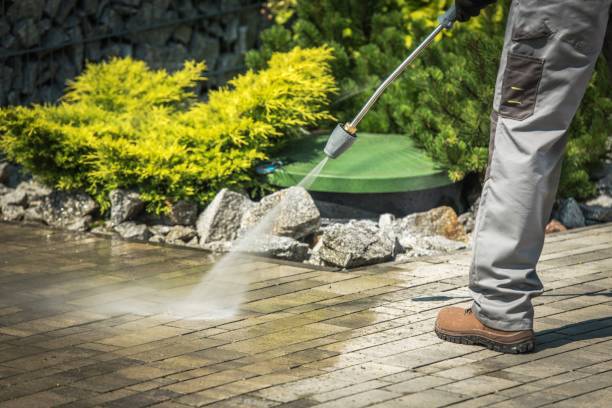 Best Soft Washing  in Antioch, CA